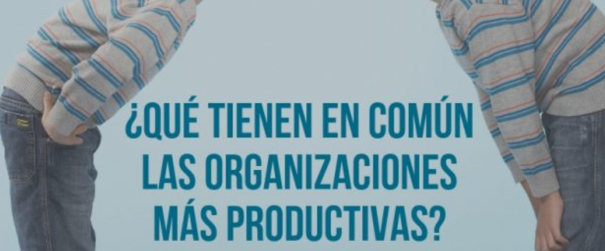 organizaciones productivas